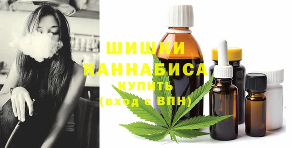 ешки Бронницы