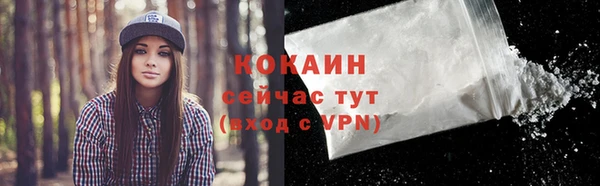 2c-b Бородино