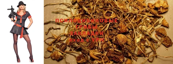 ешки Бронницы