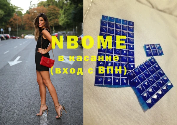 2c-b Бородино