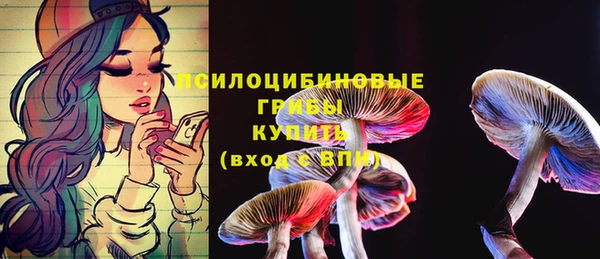 2c-b Бородино